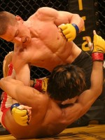 Mixed Martial Arts - Kampfsportstudio Zürich - Fight-World