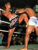 Thai Boxen - Kampfsportstudio Zürich - Fight-World